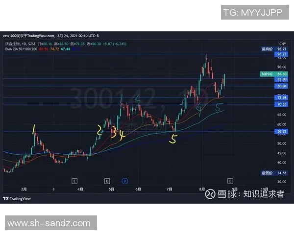 武汉篮球队与上海篮球队赛后技术分析与战术复盘探讨